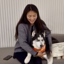 더스탠다드치과의원 이미지