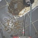 이제 부산 이미지