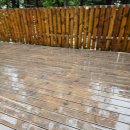 공단로70번길 L | [가평 선택적고립] 광활한 사이트와 지긋지긋한 비