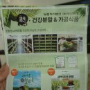 싹틔움 팜 | 수산복해 친환경 무농약 새싹보리분말, 새싹귀리분말