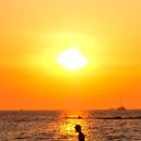 초록빛하루 이미지