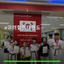 e고려힐링태권도 네이버블로그