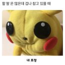 한상가득에프앤비 이미지