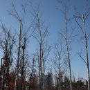 한강근린공원 이미지