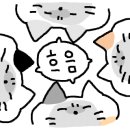 먹보꽃게 이미지