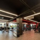 울프피트니스 이미지