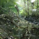 종명목장 | 에피기아(Effigia)- 공룡을 닮은 조룡류