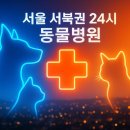 홍제24시모아동물의료센터 | 서울 서북권 24시동물병원 완벽가이드 - 마포구·서대문구·은평구·용산구 응급진료 포함