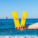 동해시-9 | 동해시 애견카페 인기 오션뷰와 봄의 매력 TOP 10 비교 정리