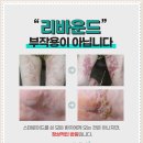 건강코다리 이미지