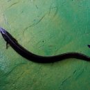 동선낚시터 이미지