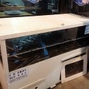 바람난장어 이미지