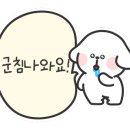 먼치오케이 샐러드클럽 광역본부 대구점 이미지