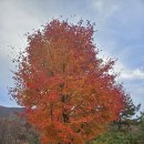 부자아빠공인중개사사무소 이미지