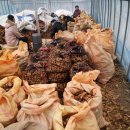 여리농장 이미지