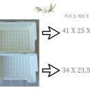 버니키스(Bunny Kiss) 이미지