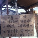 웃기는짬뽕 이미지