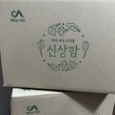 이오팜 서산농장 | 신상팜 유러피안 샐러드 채소 내돈내산 후기, 샐러드부터 쌈채소까지