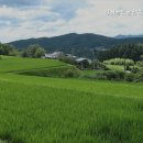 강서골드공인중개사사무소 이미지