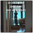 가자 펫택시 강릉점 | 강릉 신라모노그램 애견동반 펫룸 후기｜장점과 아쉬운 점 정리, 최저가 예약 방법까지