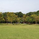 상림고운광장 이미지