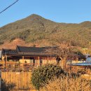 파도마을 삼냥이네 이미지