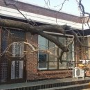 330부동산공인중개사사무소 이미지