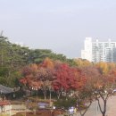 담소정 이미지
