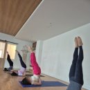 하타요가 이미지