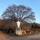 행복한생활중심 이미지