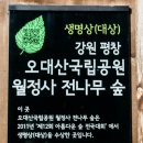 해동불교 이미지