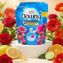 공지로 3L 이미지