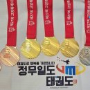 정무일도태권도 이미지