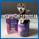 S펫 | 입맛 까다로운 강아지가 반한 강아지콘드로이친! 아큐펫 조인트 세심한 블루베리 S 급여 후기