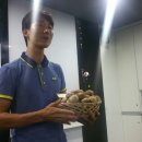 성희농원