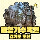 [오산/금암] 물향기수목원 리뷰 ㅣ 오산 가족 나들이로 딱 좋은 힐링 명소