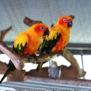 순호농장 이미지