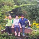 온양초등학교 이미지