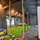 ONLY ONE 레슬링 이미지