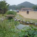 화양초등학교 이미지