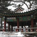 보산정 이미지