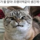 말랑말랑 이미지