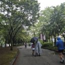 한이네여의식품 | 2025 디즈니런 참가 후기[현장부스/완주패키지]