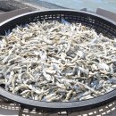 완도종합식품 이미지