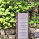 지혜의샘터 | 경주 기림사 신라 천년고찰과 늦 작약꽃, 구미 원각사 문화유적 답사기