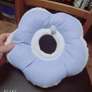 꽃개와꽃냥 | 고양이 강아지 불편함을 없애준 쿠팡 리스펫 꽃개꽃냥 넥카라 feat. 강아지포피염(표피염)소독방법
