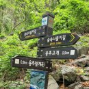 숲속나들이길 이미지