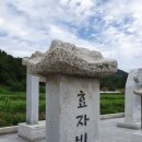 효자로 티스토리