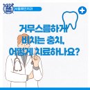 서울예인치과의원 이미지