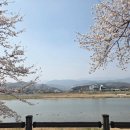 원지강변로 이미지